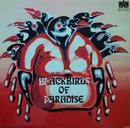 Blackbirds Of Paradise - Blackbirds Of Paradise
