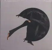 Black Devil - Black Moon White Sun