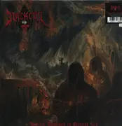 LP - Blackevil - Forever Baptised In Eternal Fire - incl poster, insert, sticker, postcard, dl code