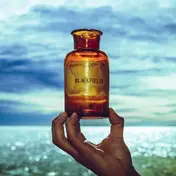 Blackfield - V -HQ/Download-
