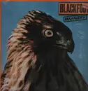 LP - Blackfoot - Marauder - Portuguese pressing
