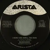 BlackHawk - I Sure Can Smell The Rain