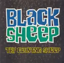12inch Vinyl Single - Black Sheep - Try Counting Sheep