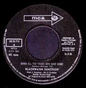 7inch Vinyl Single - Blackwater Junction - Bring All The Young Men Back Home