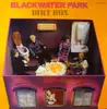 LP - Blackwater Park - Dirt Box - KRAUTROCK BASF ORIGINAL