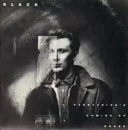 Black - Everything's Coming Up Roses