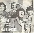 7inch Vinyl Single - Black Abbots - How About Me