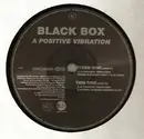2 x 12inch Vinyl Single - Black Box - A Positive Vibration