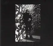 les disues du soleil