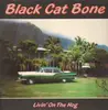 LP - Black Cat Bone - Livin' On The Hog - rare german blues rock
