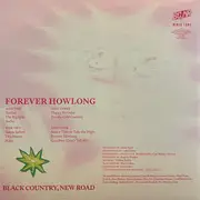 Double LP - Black Country, New Road - Forever Howlong - Gatefold, incl. Booklet