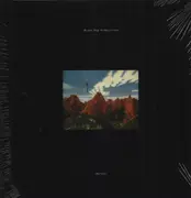 Double LP - Black Dog Productions - Bytes - 180g