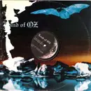 12inch Vinyl Single - Black Drone - Do Not Remove The Fix / Bike Rev