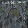 LP - Black-Eyed Snakes - Seven Horses
