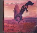 CD - Black Market Flowers - Bind