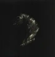 Black Math Horseman - Wyllt