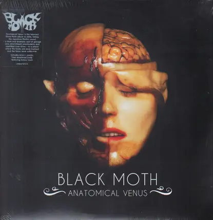 Black Moth - Anatomical Venus