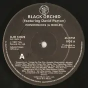 Black Orchid Featuring David Parton - Wonderlicks (A Medley)