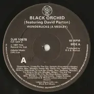 Black Orchid Featuring David Parton - Wonderlicks (A Medley)