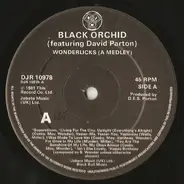 Black Orchid Featuring David Parton - Wonderlicks (A Medley)