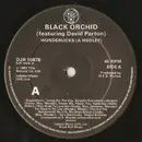 12inch Vinyl Single - Black Orchid Featuring David Parton - Wonderlicks (A Medley)