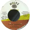 7inch Vinyl Single - Black Panther / Elephant Man - Earth Runnings / Twidly Bit