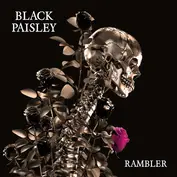 Black Paisley