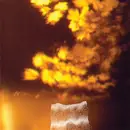 7inch Vinyl Single - Black People - Brain Wash / Fallen Down