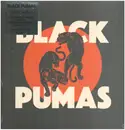 LP & MP3 - Black Pumas - Black Pumas - + Download