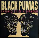 LP - Black Pumas - Chronicles Of A Diamond - Clear vinyl/ + poster
