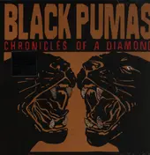 Black Pumas - Chronicles of a Diamond