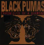 Black Pumas - Chronicles of a Diamond