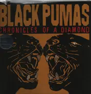 Black Pumas - Chronicles of a Diamond