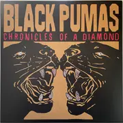 LP - Black Pumas - Chronicles Of A Diamond - Clear Vinyl, Poster