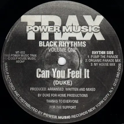 Black Rhythms - Can You Feel It