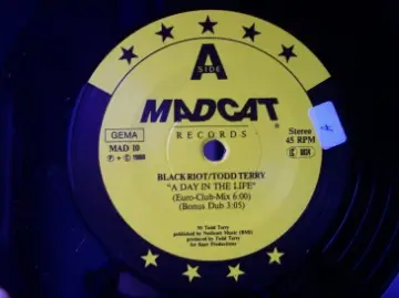 Black Riot / Todd Terry - A Day In The Life