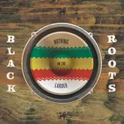 Black Roots - Nothing In The Larder