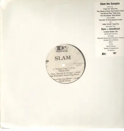 Black Rob, Big Punisher, Mobby Deep etc. - Slam - The Sampler