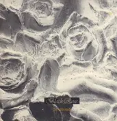 Black Rose - The Room Inside