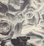 LP - Black Rose - The Room Inside