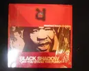 12'' - Black Shadow - Can You Stand The Funk