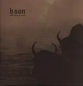 BLACK SHAPE OF NEXUS - Black Shape Of Nexus