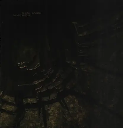 Black Shape Of Nexus / Kodiak - Black Shape Of Nexus / Kodiak