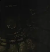 LP - Black Shape Of Nexus / Kodiak - Black Shape Of Nexus / Kodiak - 180g Vinyl, Gatefold