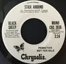7inch Vinyl Single - Black Sheep - Stick Around