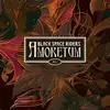 LP - Black Space Riders - Amoretum Vol.2