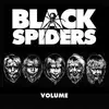 LP - Black Spiders - Volume