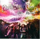CD - Black Stone Cherry - Magic Mountain