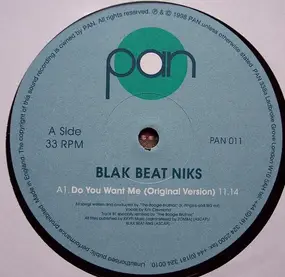 blak beat niks - Do You Want Me