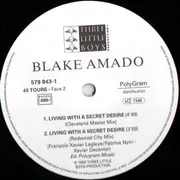 12inch Vinyl Single - Blake Amado - Living With A Secret Desire (Happy World Remixes)